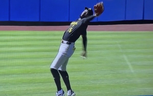 Jeff Hawkins tweet media