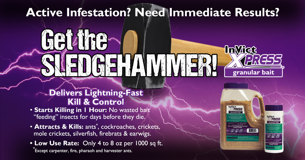 InVict Xpress delivers lightning-fast kill and control of a broad spectrum of crawling insects. It starts killing in 1 hour. Visit our website to learn more: tinyurl.com/ftjn88f6  #RockwellLabs #UnfairAdvantage