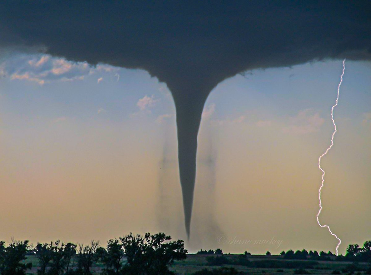 Shane R Muckey tweet media