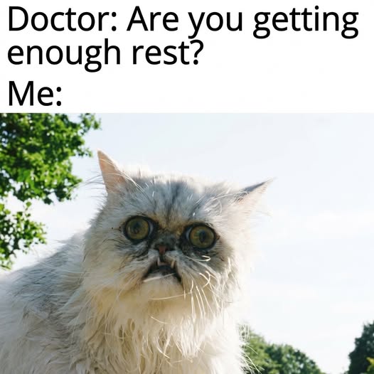 Rod Ryan Show tweet media