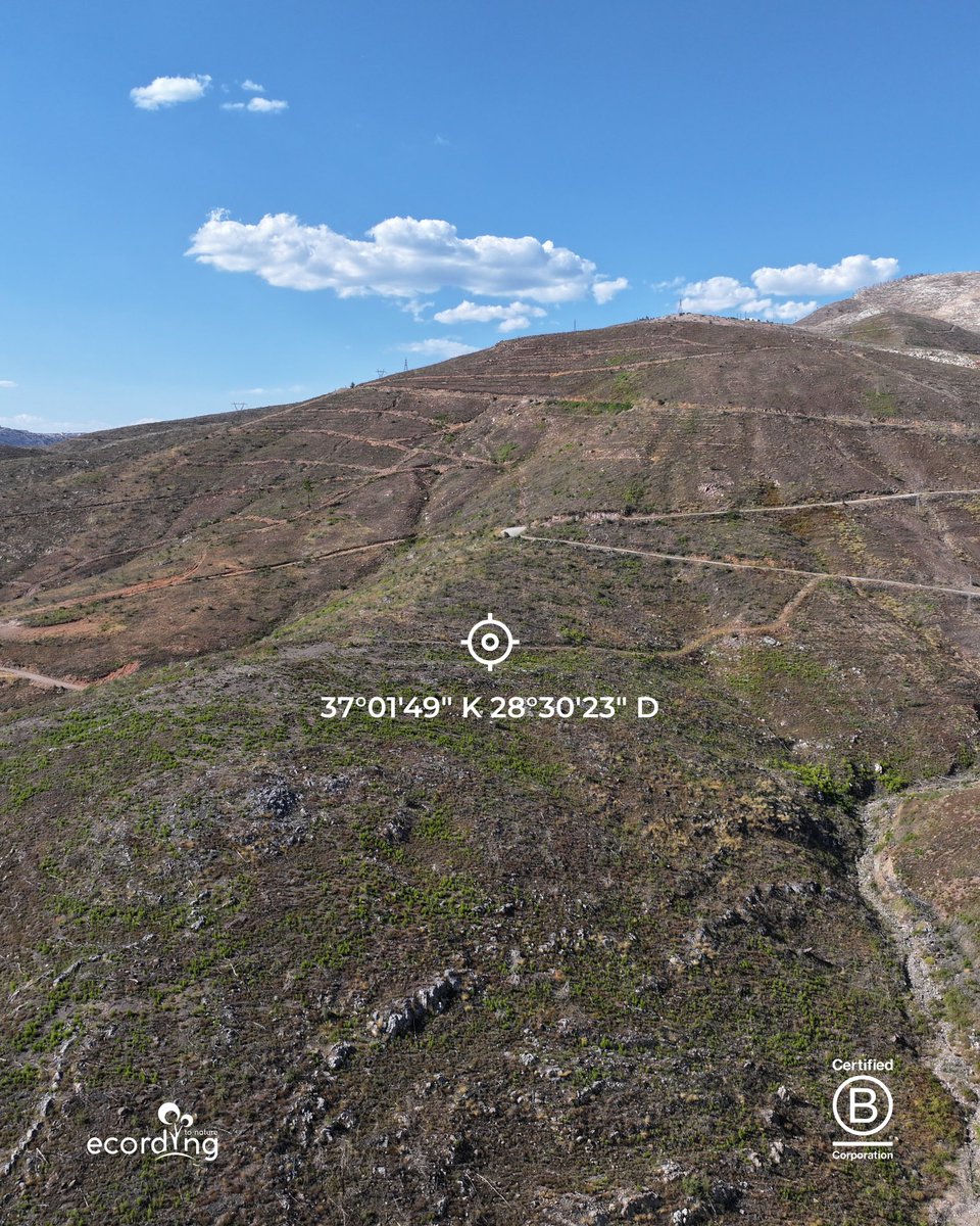 ecording | B Corp™ tweet media