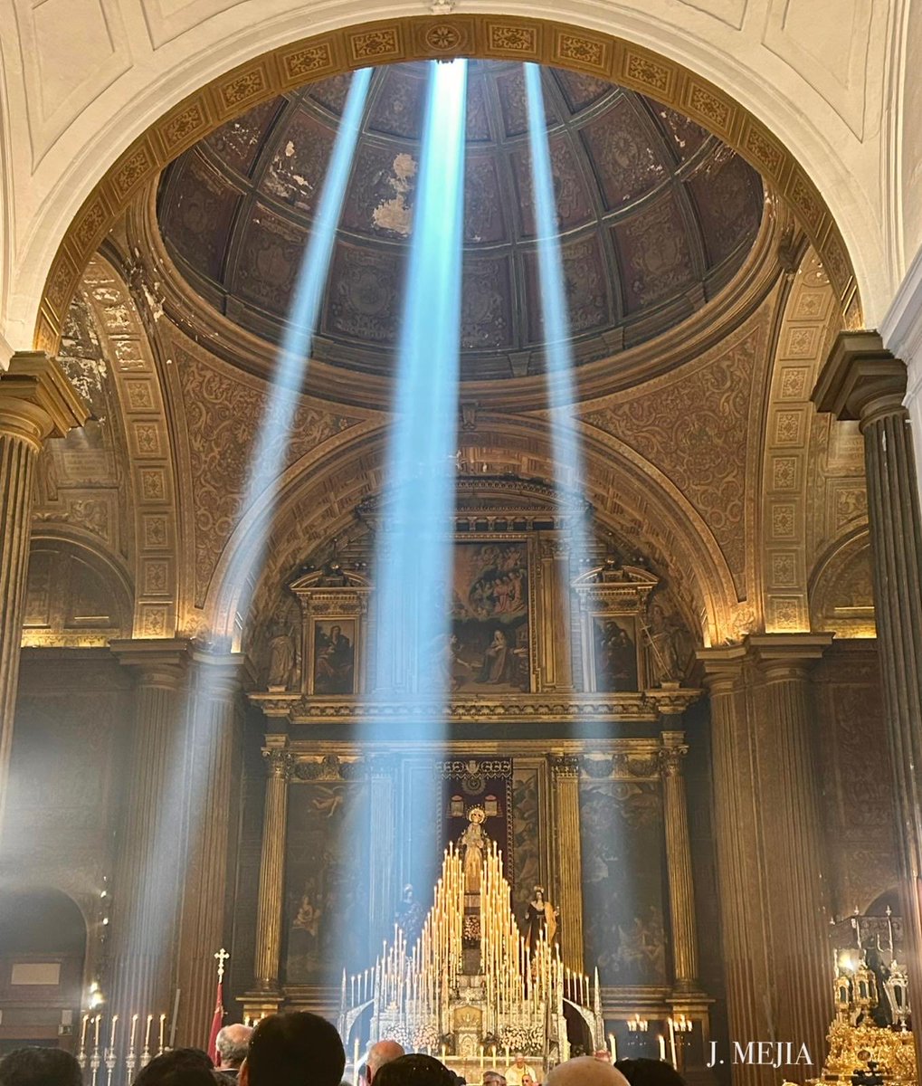 elllamadorcsr tweet media