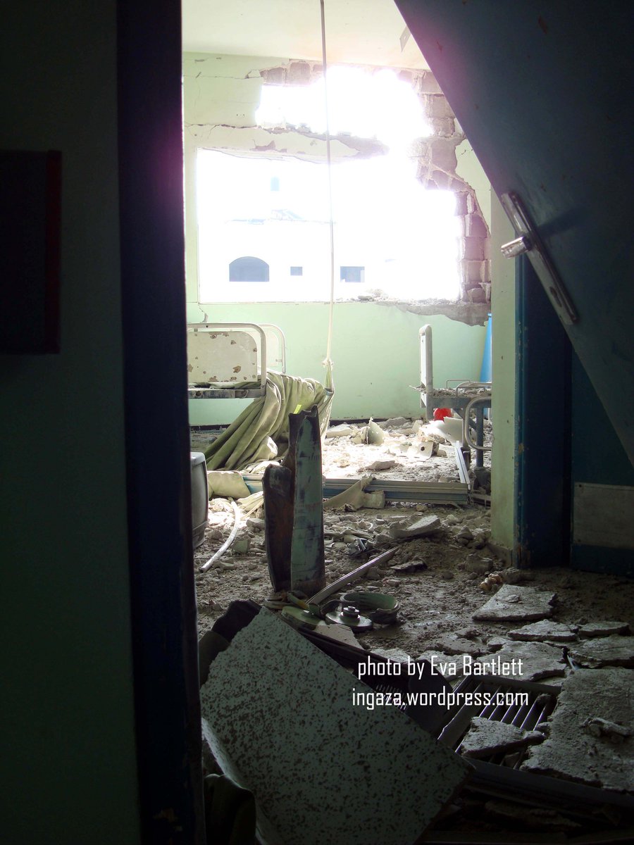 Eva Karene Bartlett tweet media