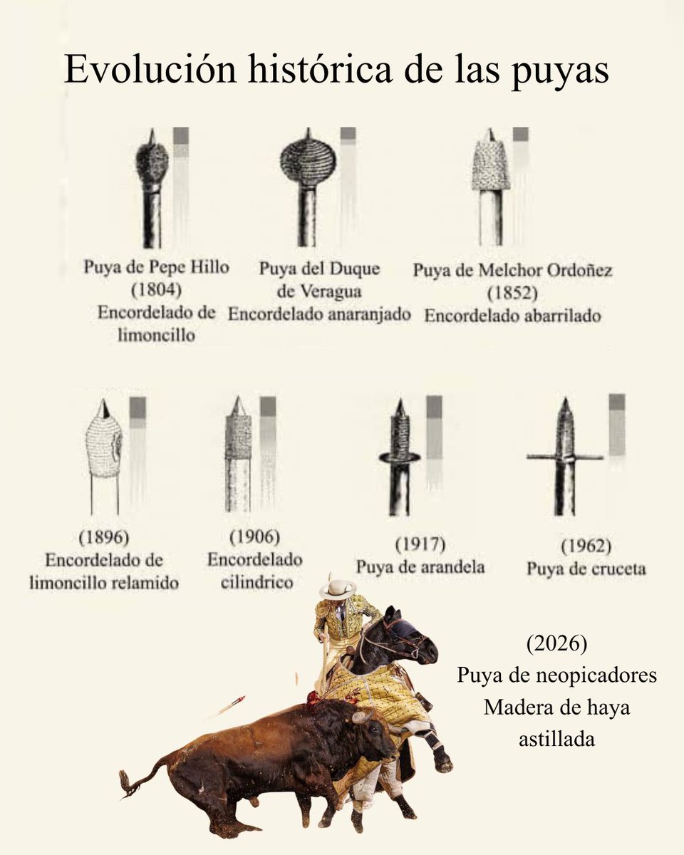 ACT Chenel y Oro tweet media