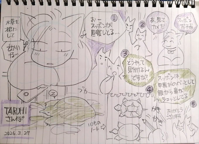 【TARUHI さんぽ】普通の散歩😙問われてスッポンと亀の解説を行ったwww。水草に脚をかけ、顎をのせて寝ていた。気持ちよさそうでした。金網を取り込むように伸びるツル。菫が一株、春だなぁ😊 