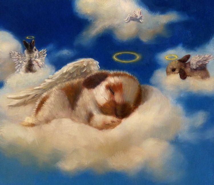 CloudRiderz tweet media