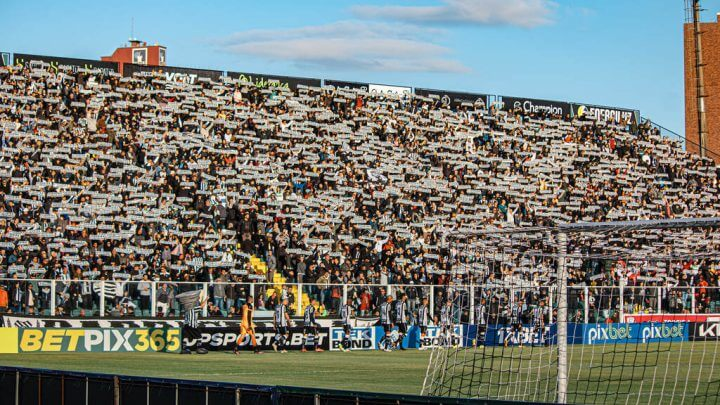 Davi Thiesen tweet media