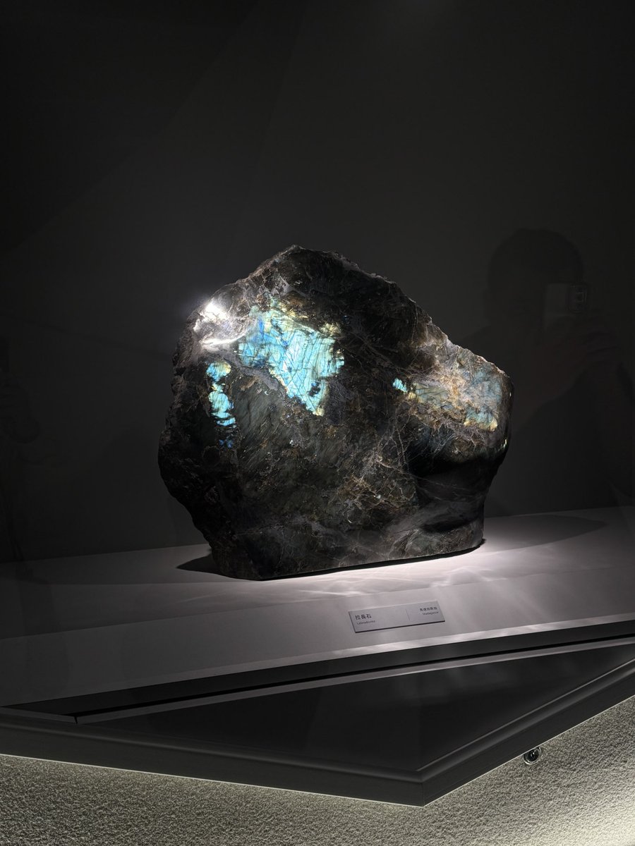 Rova☁️🖌 tweet media