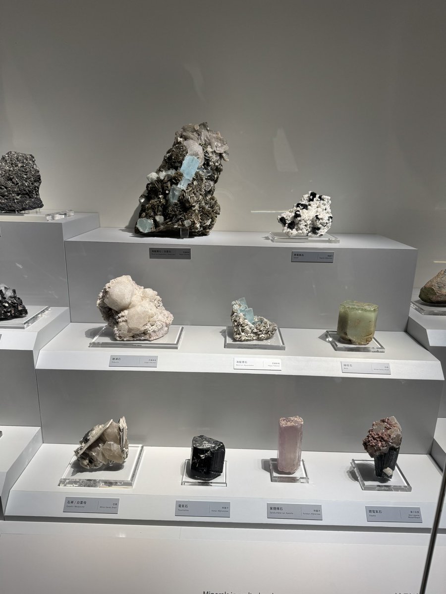 Rova☁️🖌 tweet media