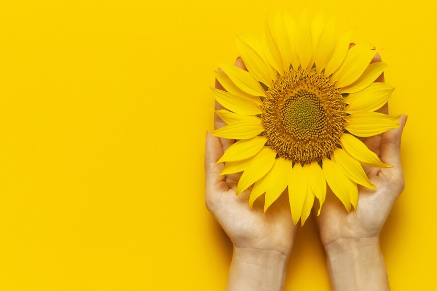 Cr Piemonte tweet media