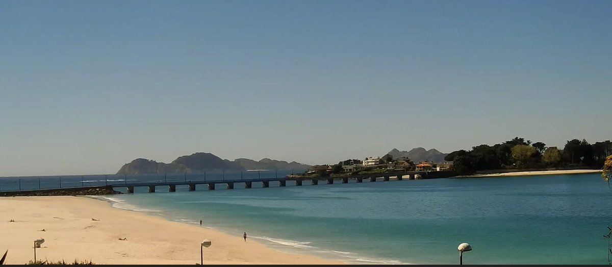 Torallamar tweet media