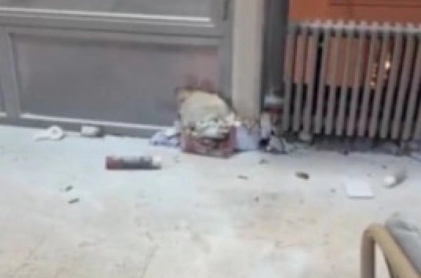 Dejan Tomka tweet media