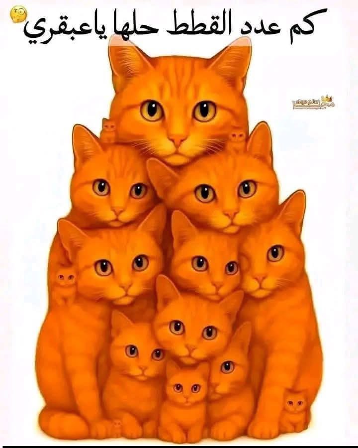 بتر الخواطر tweet media