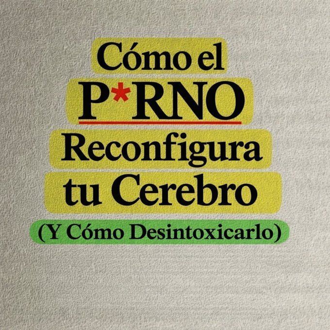 Cómo el P*RN* reconfigura tu cerebro
(Y cómo desintoxicarlo)

– 🧵–