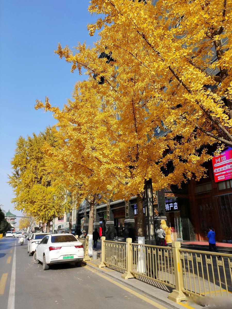 cheyenne lawrence tweet media