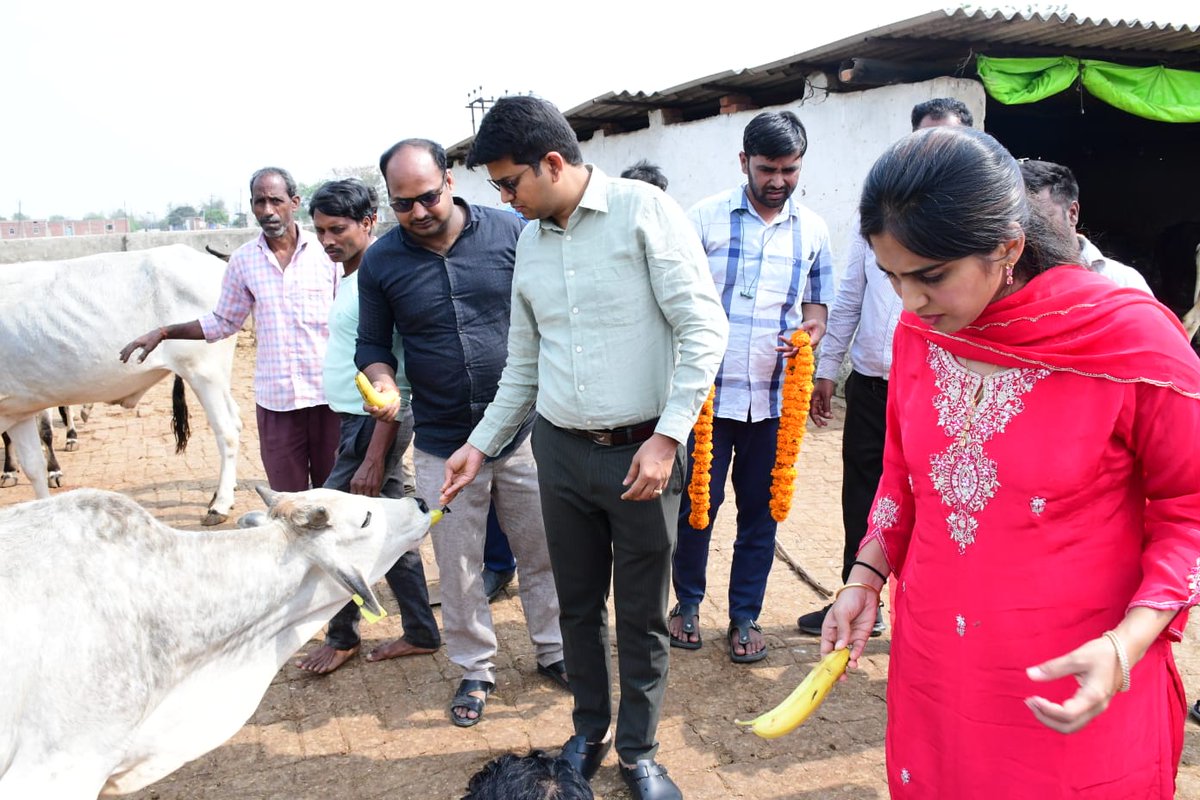 DM Siddharthnagar tweet media