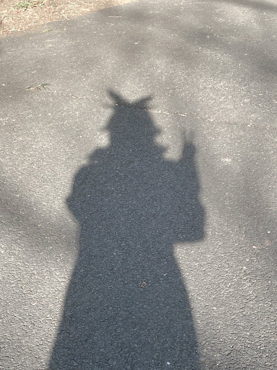 コロンビーナちゃまの影かわいい