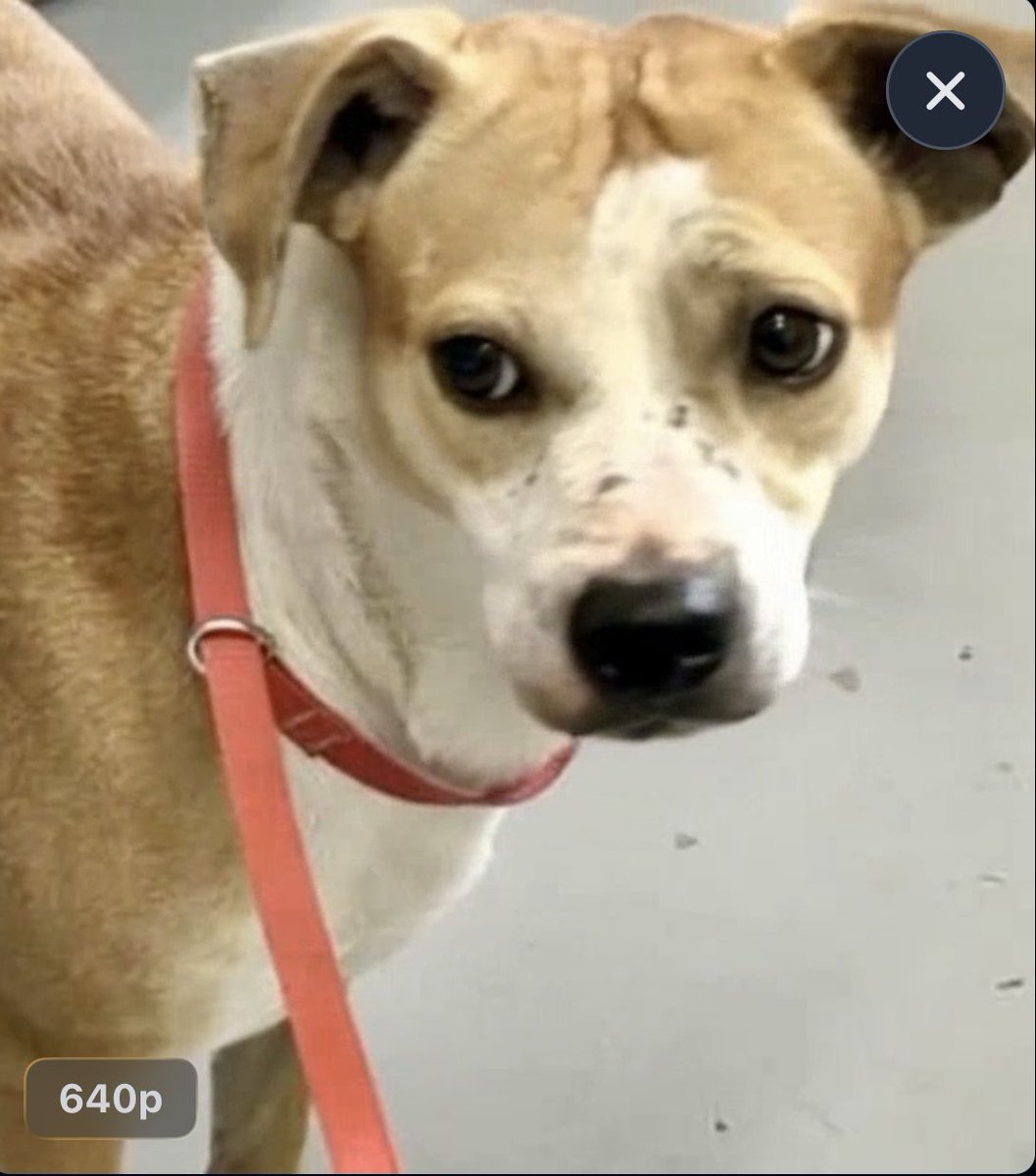 Cheryl Ramirez tweet media