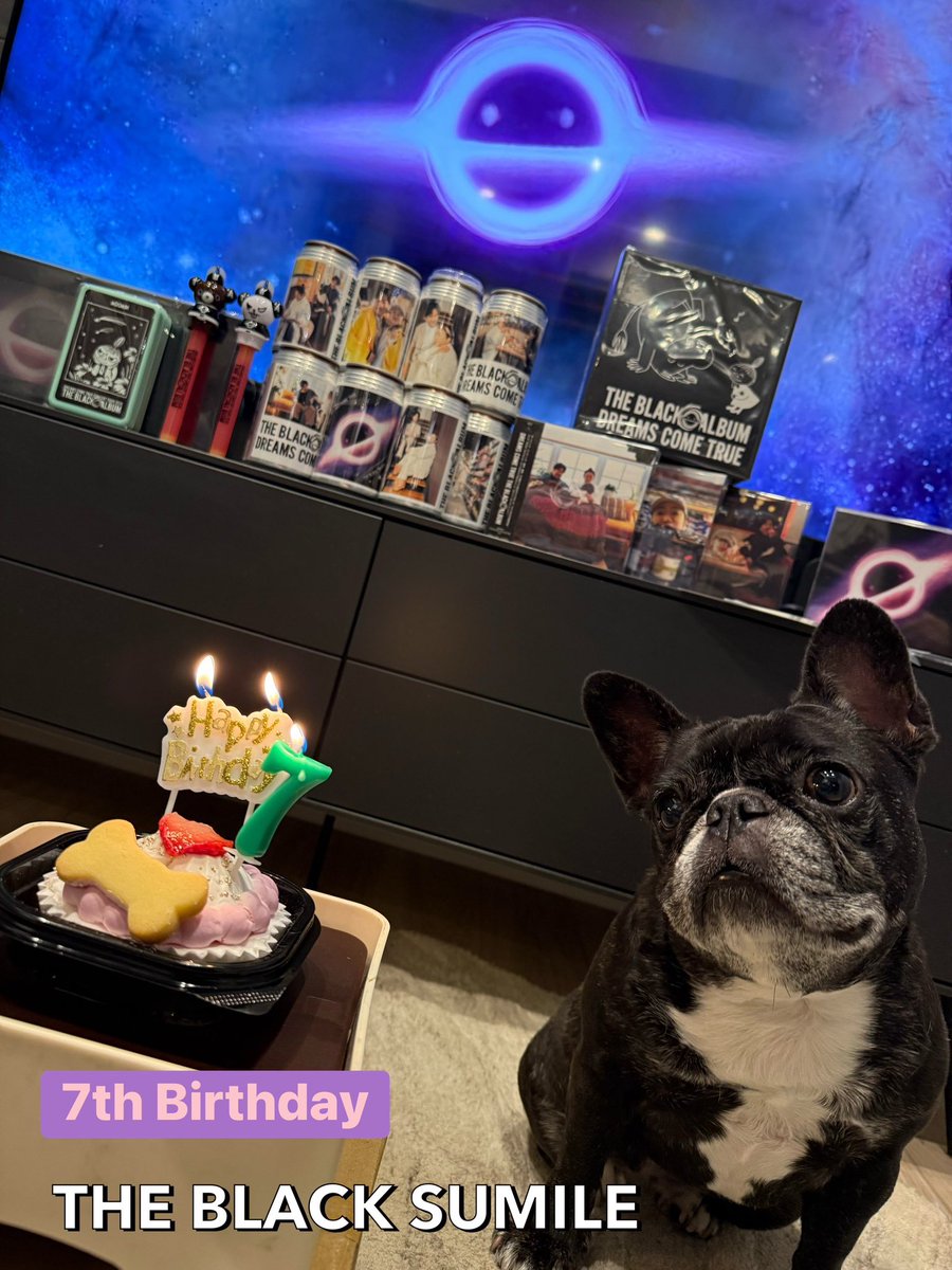 EvaMark09's tweet photo. happy happy 7th birthday❣️

ついに姫様も7歳のお姉様になりました🥰
今年はドリとニコちゃんBLACK HALLがお祝いしてくれました✨㊗️✨

暴れ馬のガルガンチュアのようにずっと元気でいてくれますように✨🙏✨

#sumile
#7さいになりました
#DCT_MASATO 
#THE_BLACK_ALBUM
#DREAMSCOMETRUE https://t.co/aRYu39K62z