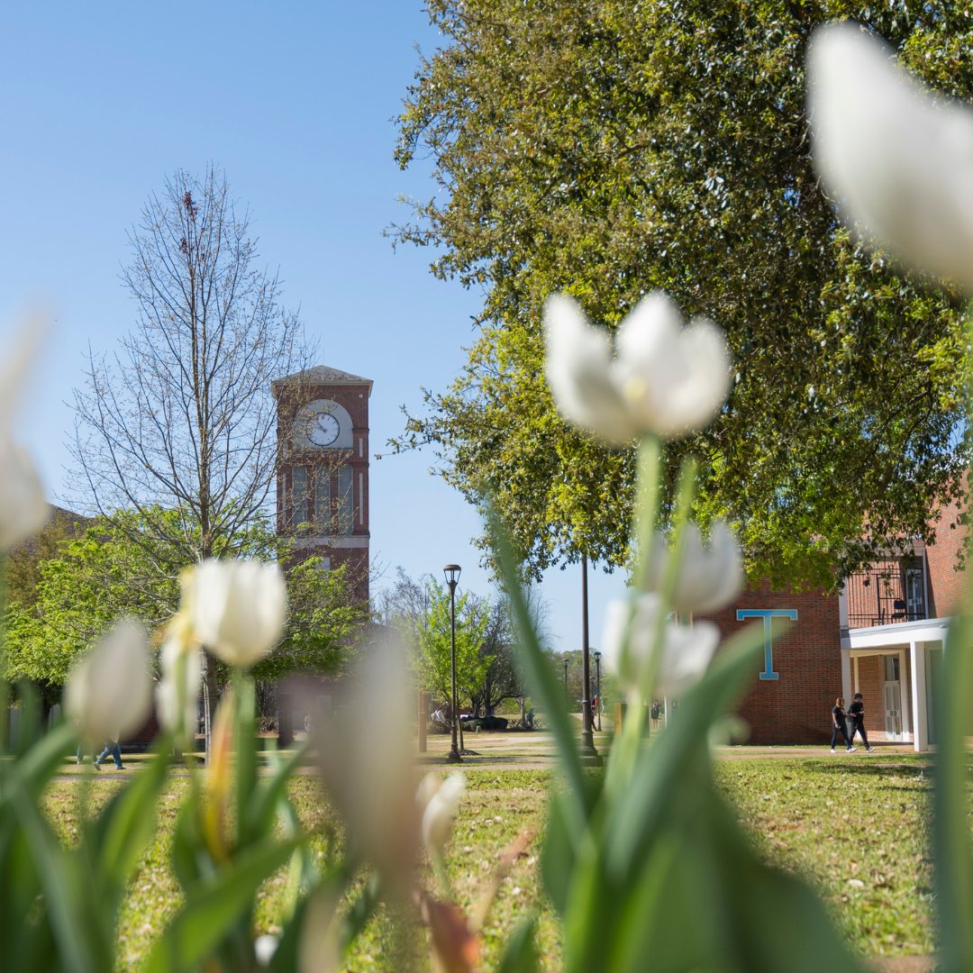 LA Tech Alumni tweet media