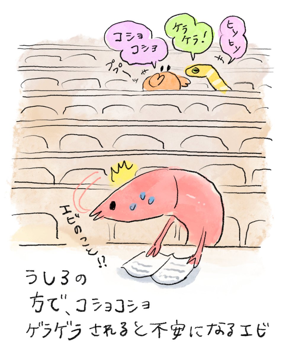 すしず🦐エビちゃん🍤 tweet media
