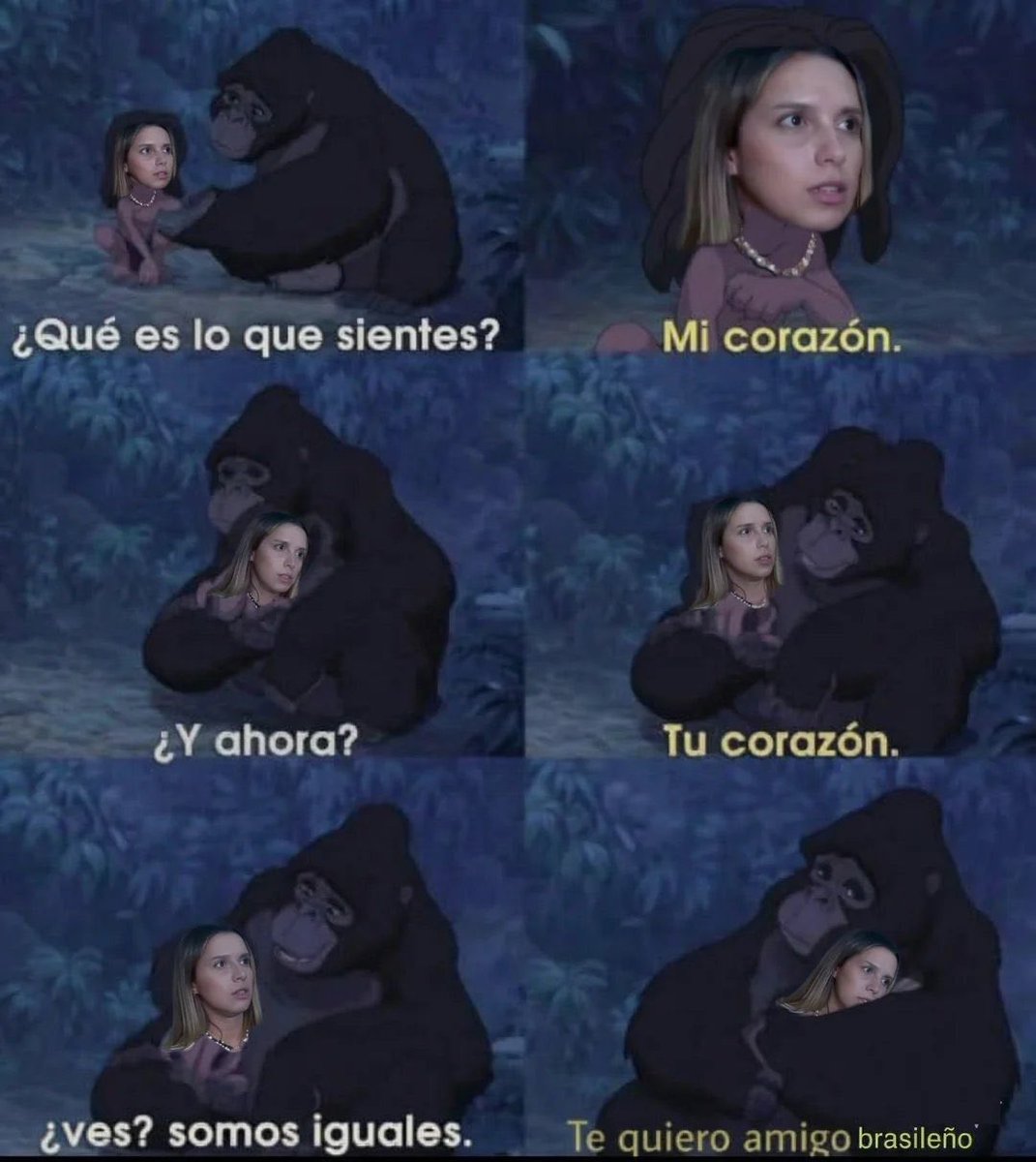 Los Herederos de Alberdi tweet media