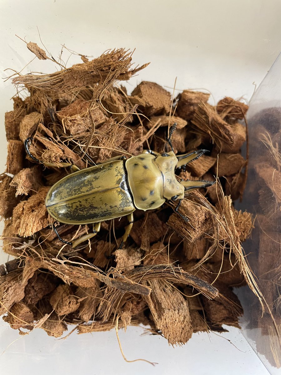 ＫＢファーム tweet media