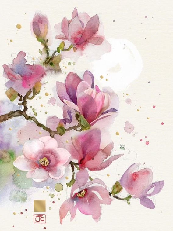 Brindille tweet media