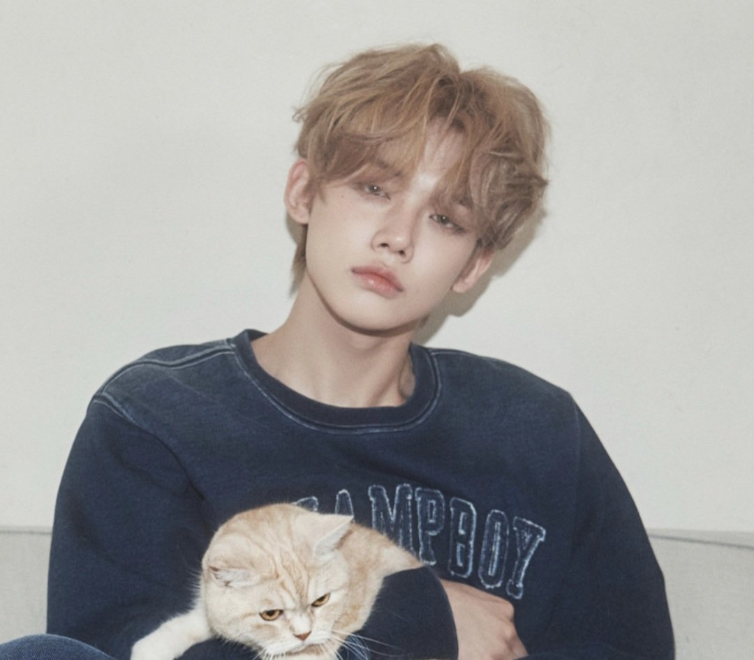 범데렐라 tweet media