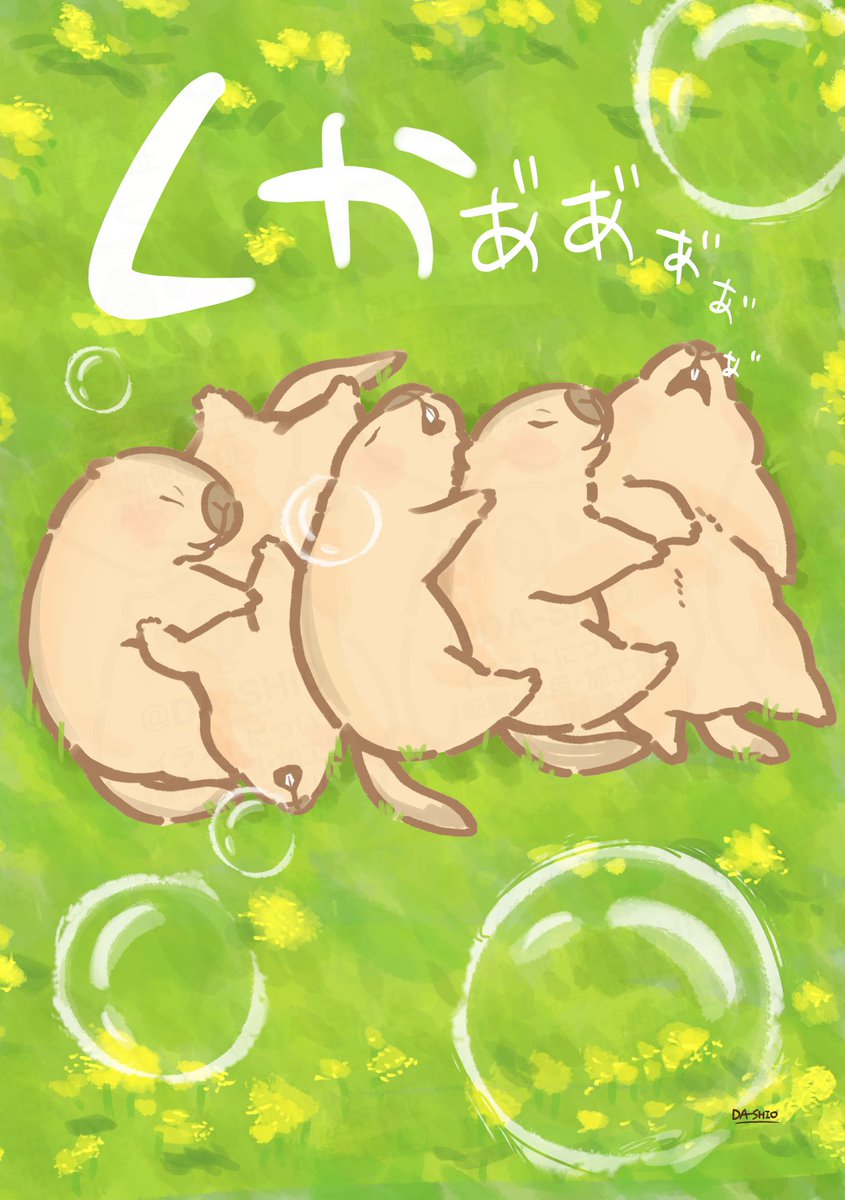 マーモットのモットー tweet media