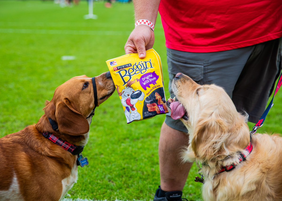 St Louis CITY SC tweet media