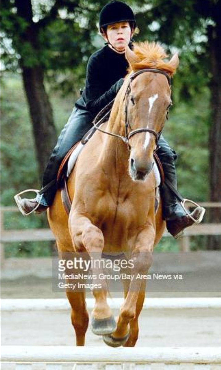 Oscar El Sanchez tweet media