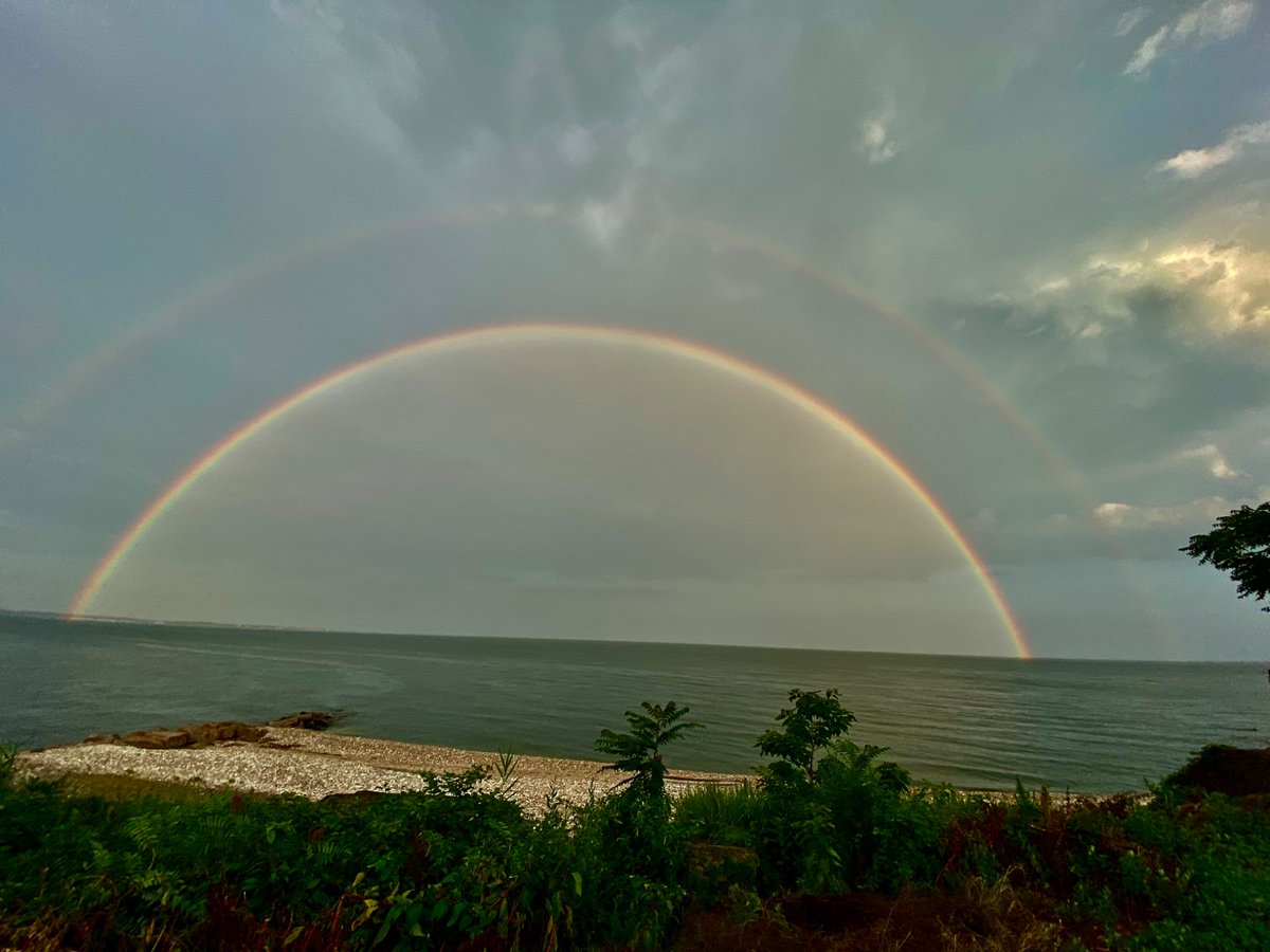 Nina Tomlinson tweet media