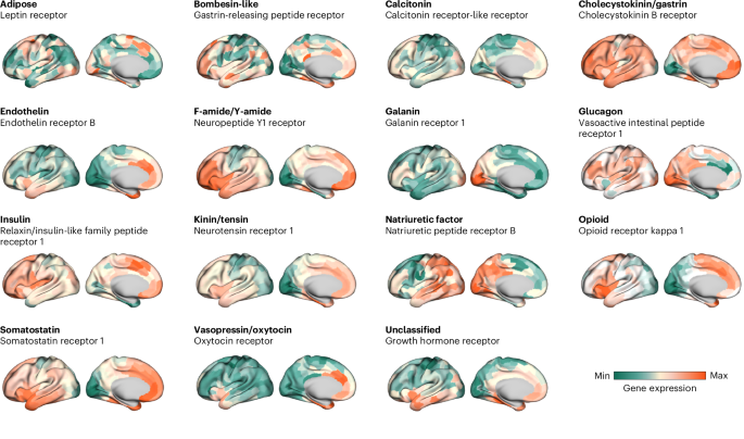 Micah G. Allen tweet media