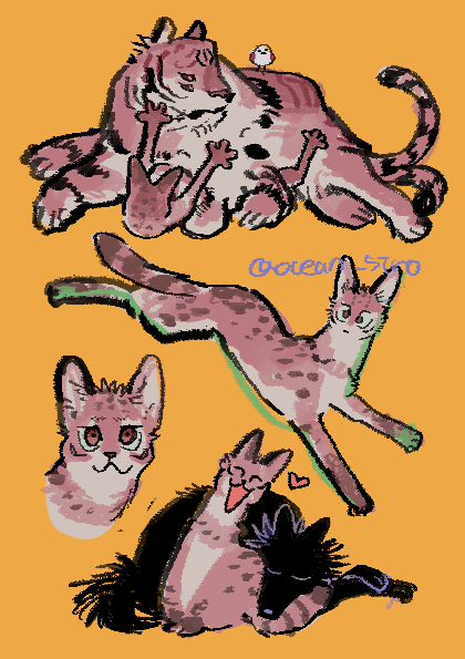 しろい tweet media