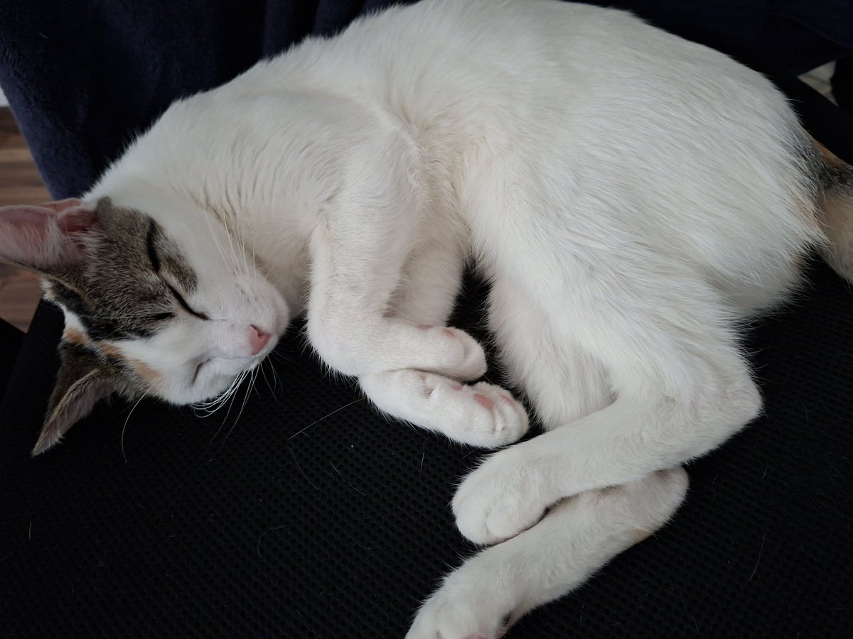 Tharon_Art tweet media