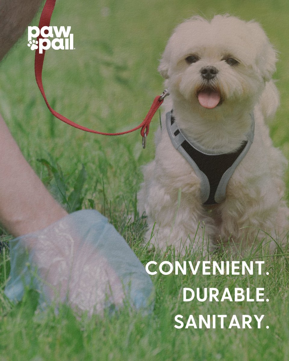 Take back your backyard with a convenient, durable, and sanitary solution—the PawPail Pet Waste Station.

Get yours today: pawpail.com/products/pet-w…

#petwastestation #petwastemanagement #dogpoopbin #dogpooptrash