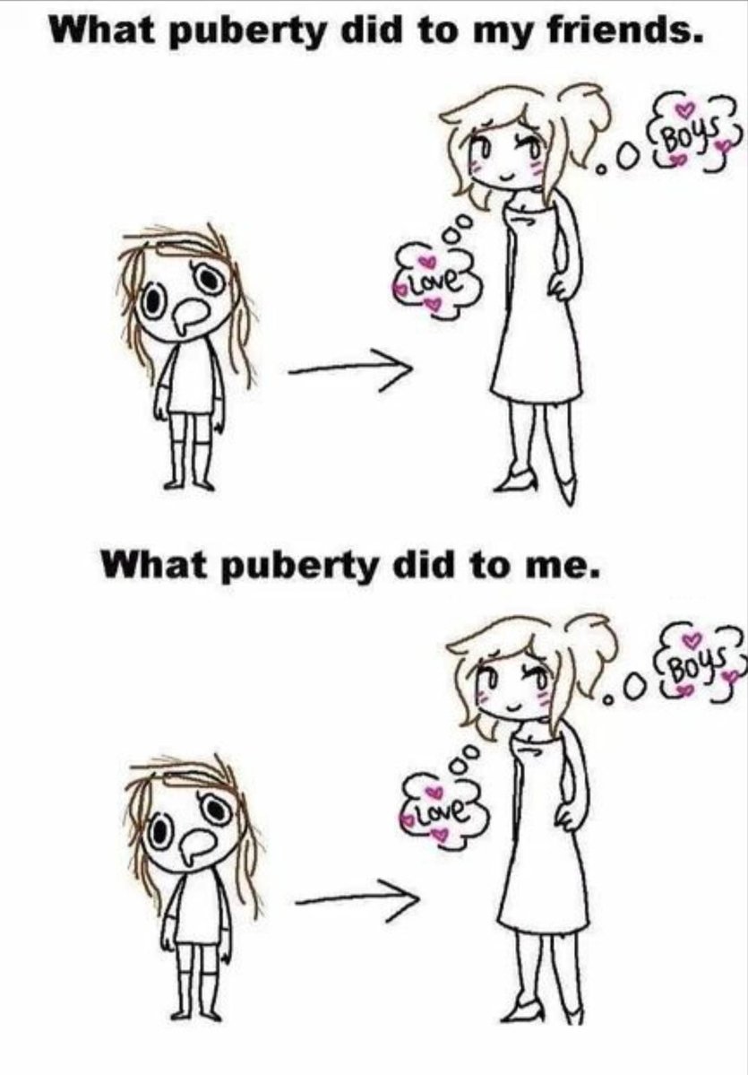 literal memes tweet media