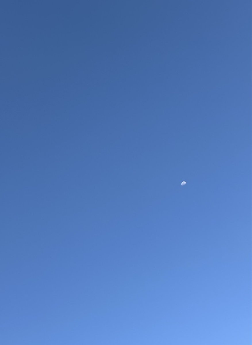 𝓑𝓮𝓵𝓵𝓮 tweet media