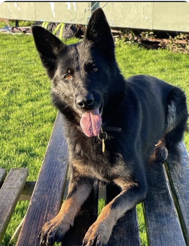 Police Mutual tweet media