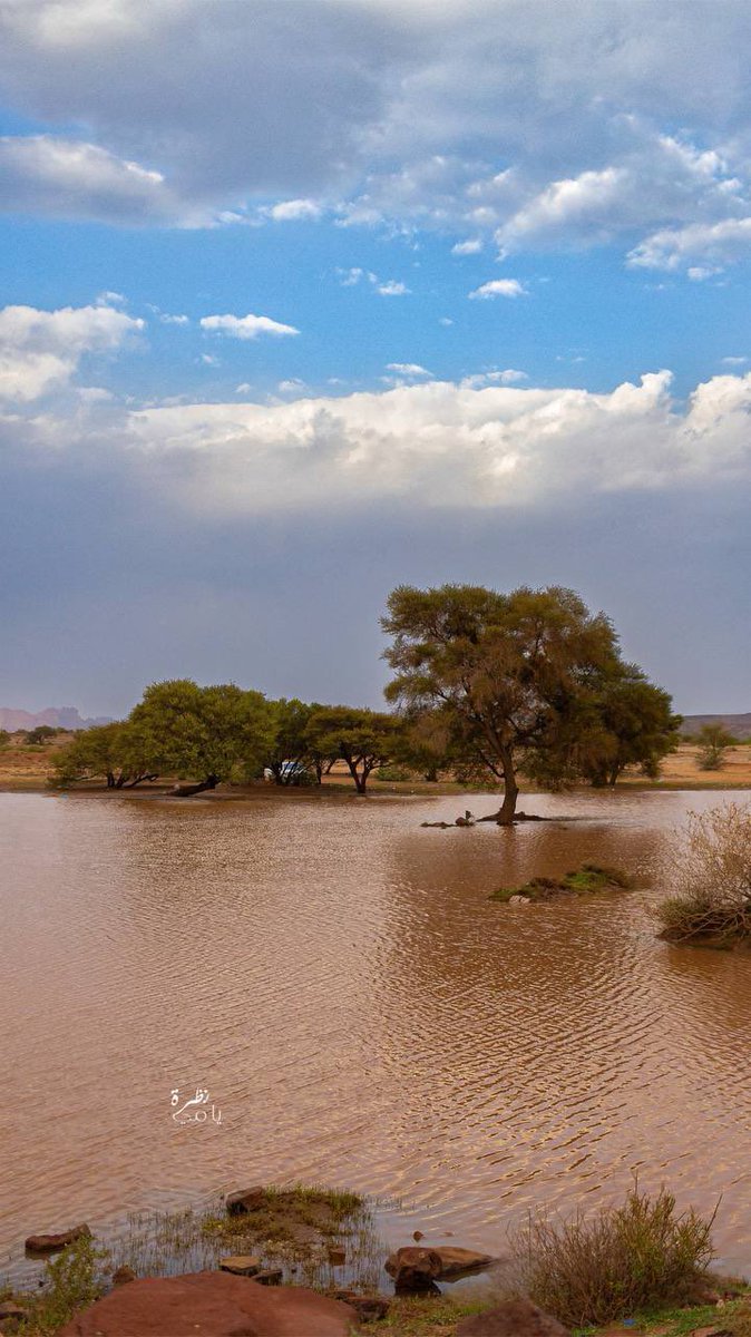 حسين ربيع اليامي tweet media