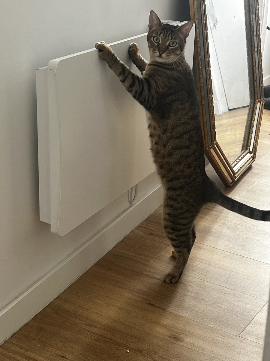 Valiana is back again tweet media