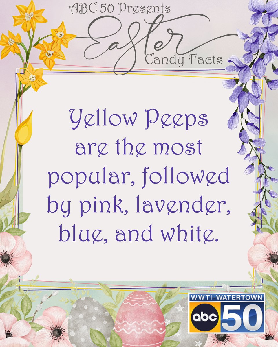 WWTI - ABC50 tweet media