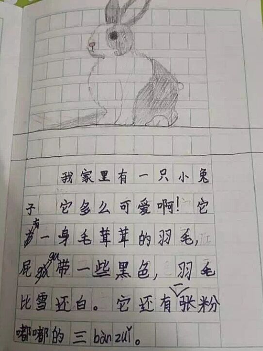 Jordan Mehringer tweet media