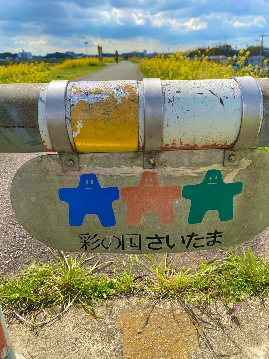 SHIMAYAN99's tweet photo. 長野マラソンへ向けて30㎞ラン🏃‍♂️
仕事を言い訳に練習不足が露呈して大苦戦💦
菜の花と桜を眺めながらゆっくり走ってきた https://t.co/Pr07boSsgy
