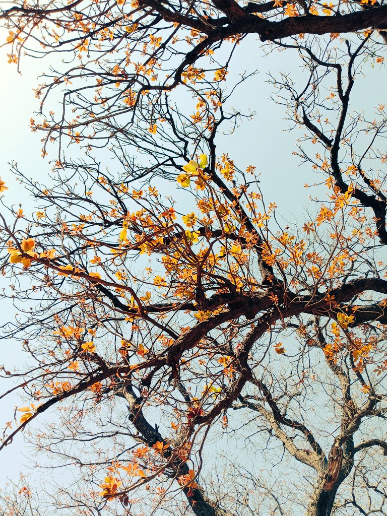 Irodov (inactive ) tweet media