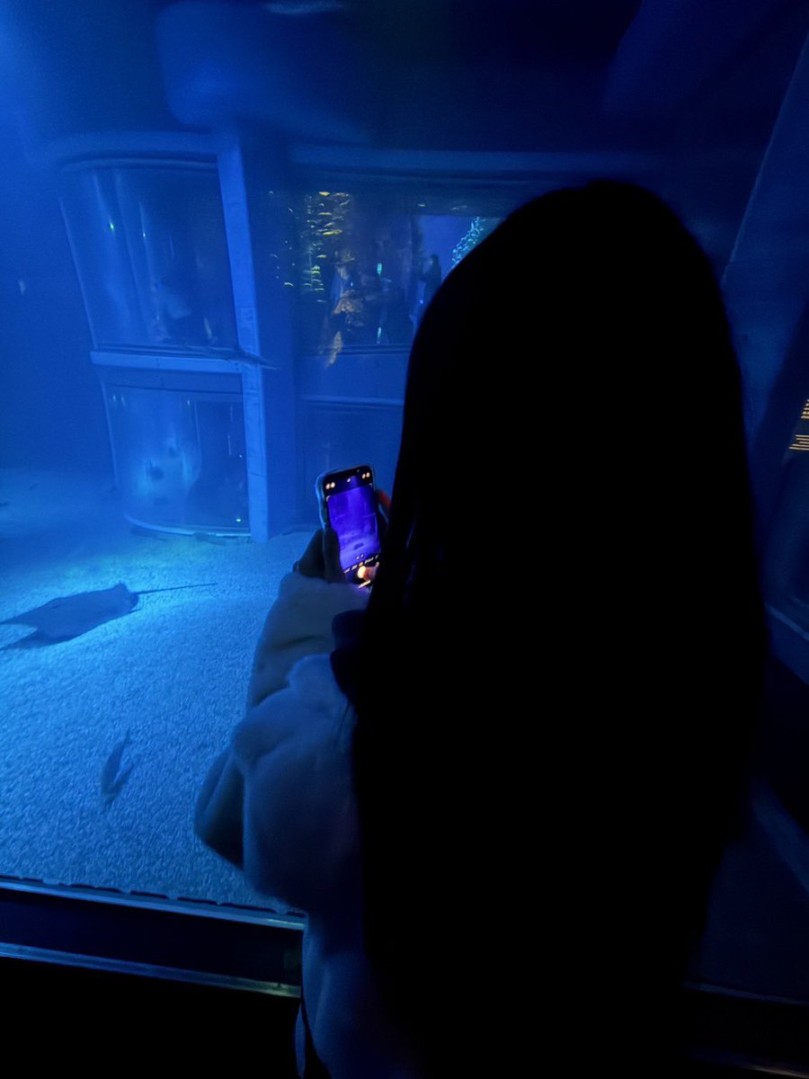 びーある tweet media