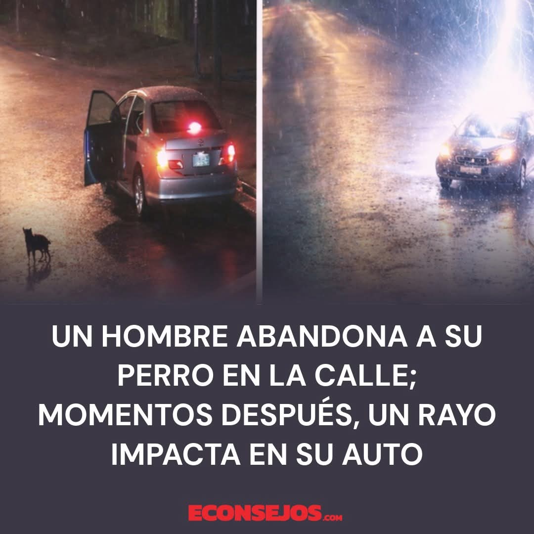 Alfredo Marquez T. tweet media