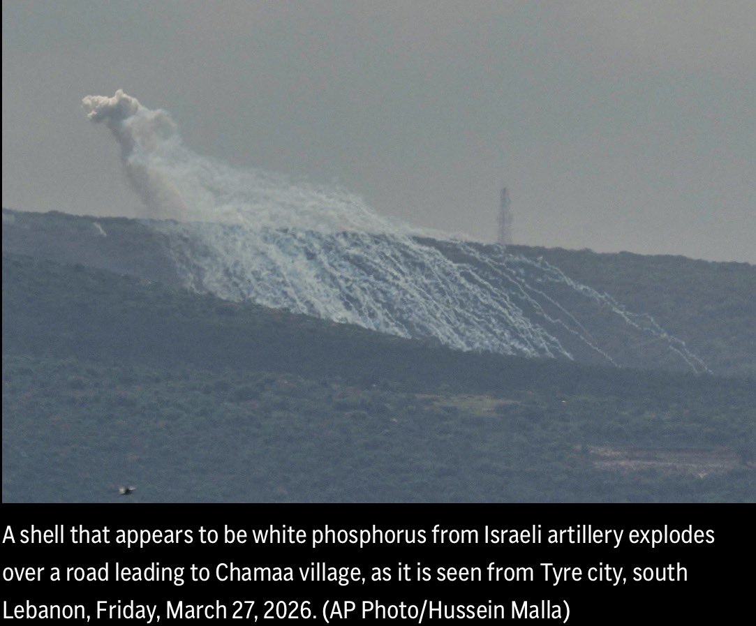 Kareem Chehayeb | كريم شهيب tweet media