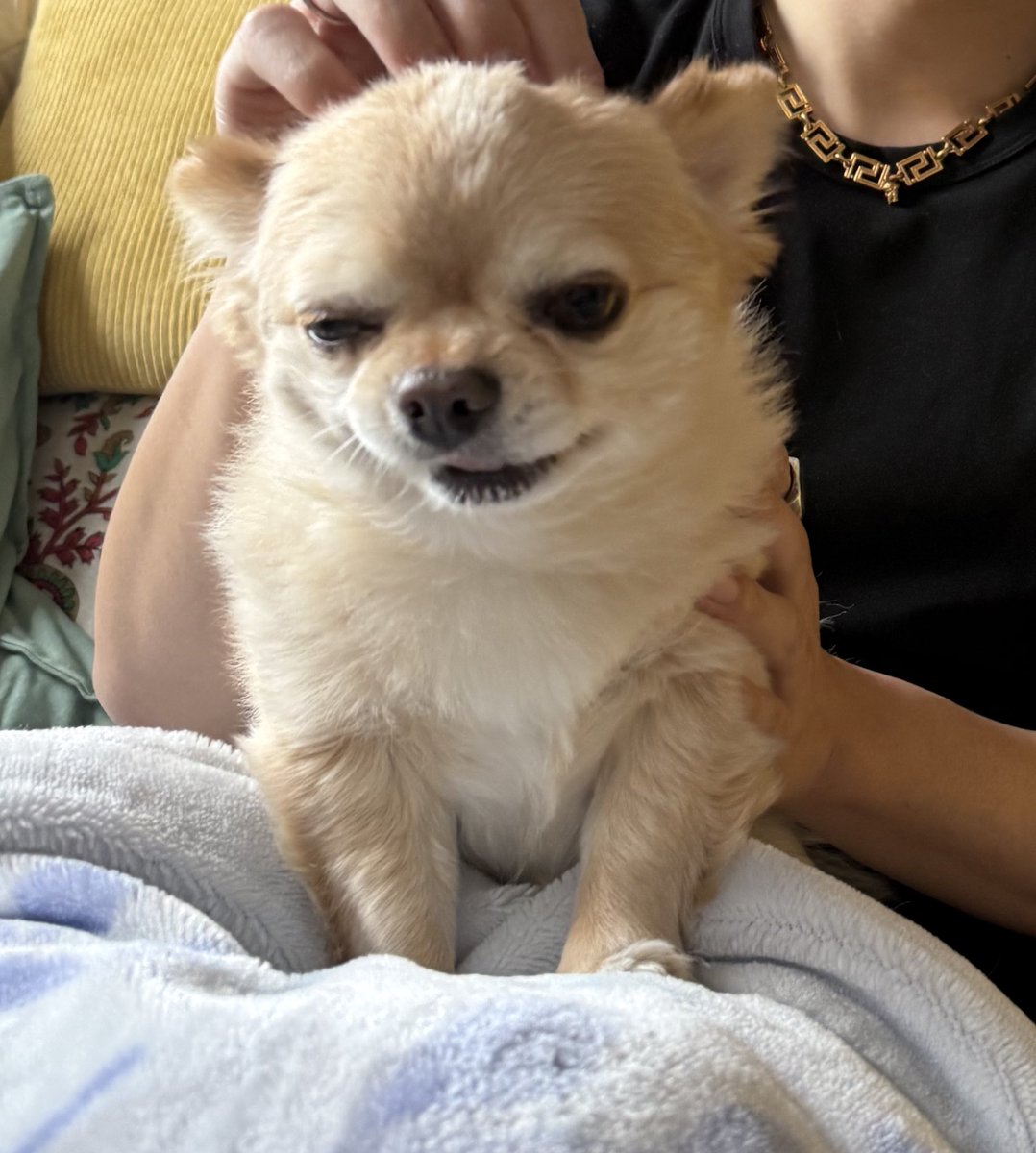 てん（６） tweet media